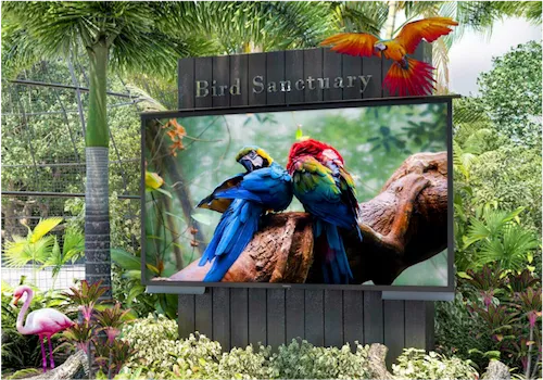 A vibrant bird sanctuary, where colorful macaws perch on a branch, displayed on an outdoor TV surrounded by dense, tropical foliage and various exotic birds in Ajman.